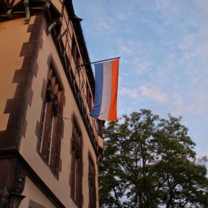 Maibowle — Bild 2